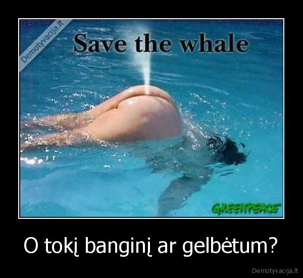 save, the, whale