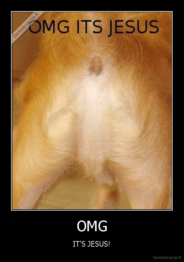 omg,jesus,dog