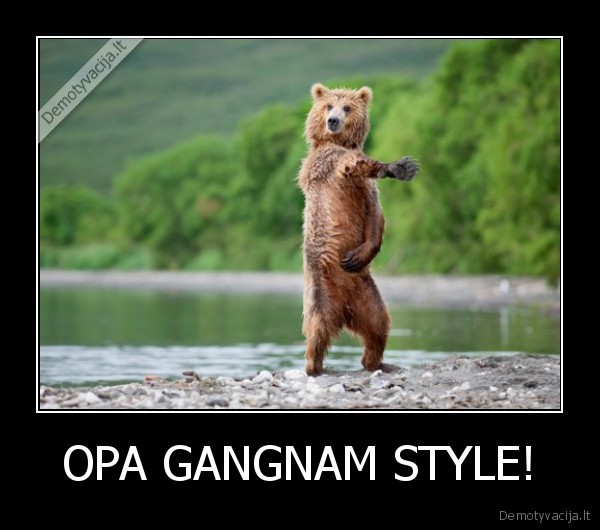 OPA GANGNAM STYLE!