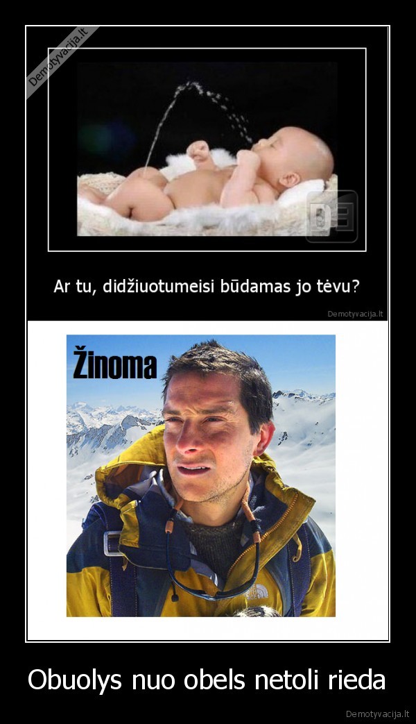 demotyvacija, obuolys, bear, grylls, tevas