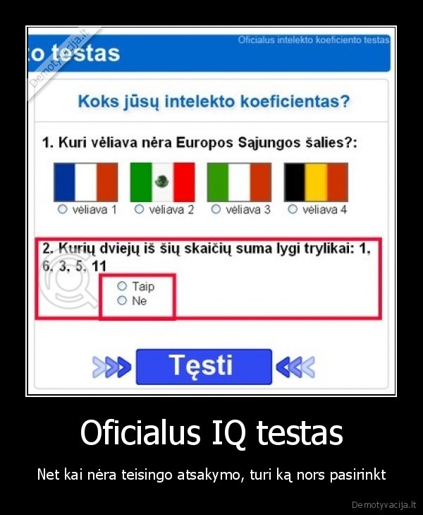 Oficialus IQ testas