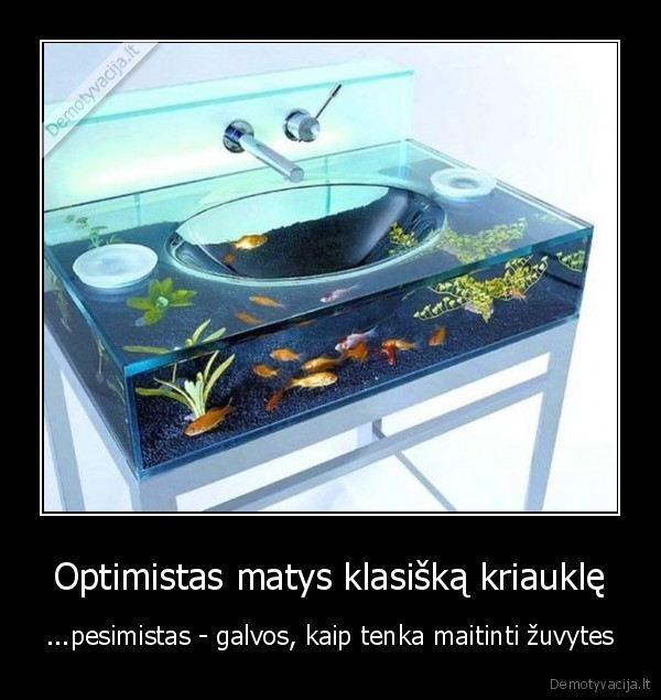 optimizmas,pesimizmas,kriaukle