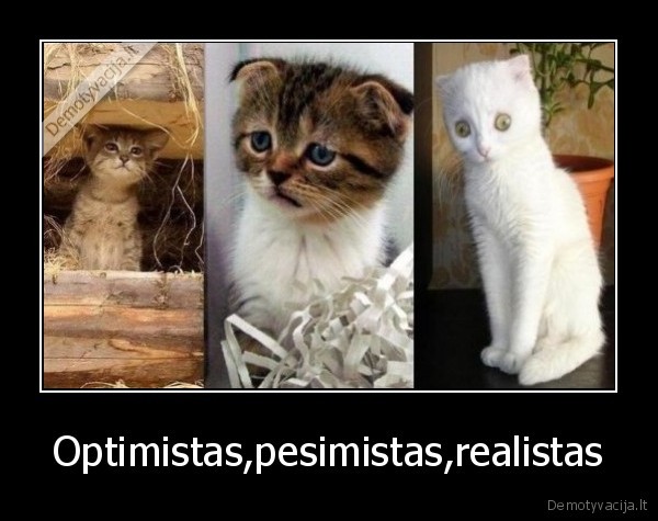 Optimistas,pesimistas,realistas