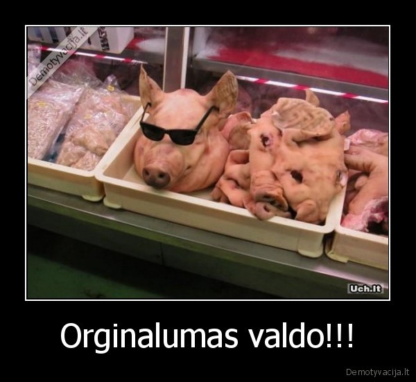 Orginalumas valdo!!!