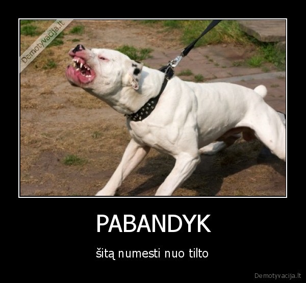 PABANDYK