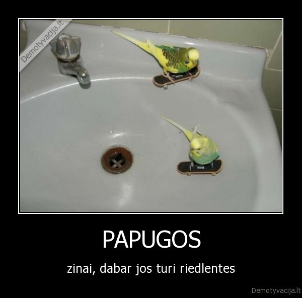 PAPUGOS