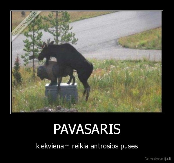 PAVASARIS