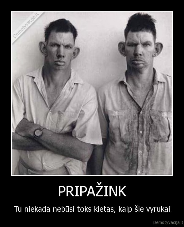 PRIPAŽINK