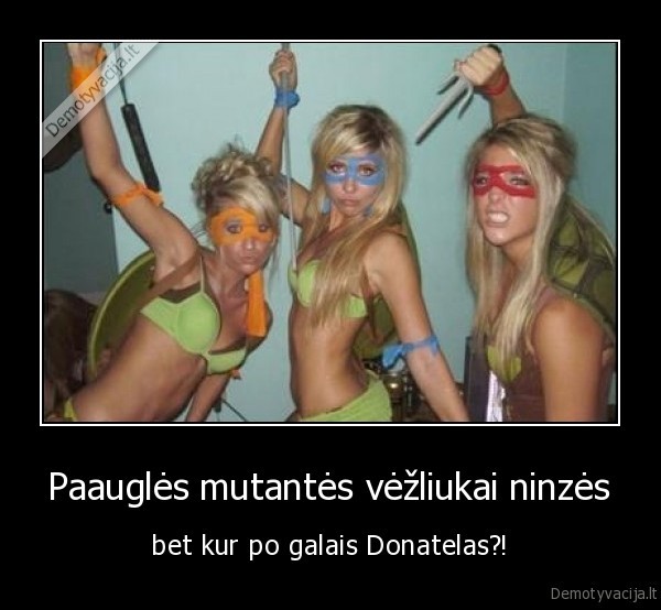 vezliukai,ninzes,donatelas