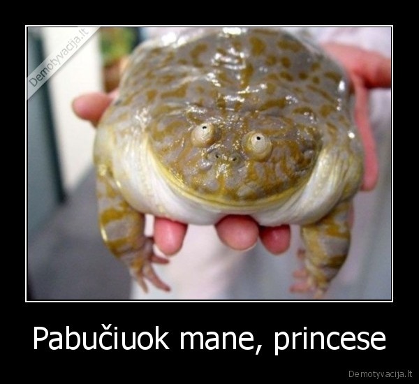 Pabučiuok mane, princese