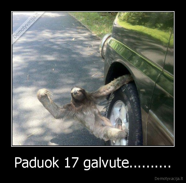 Paduok 17 galvute..........