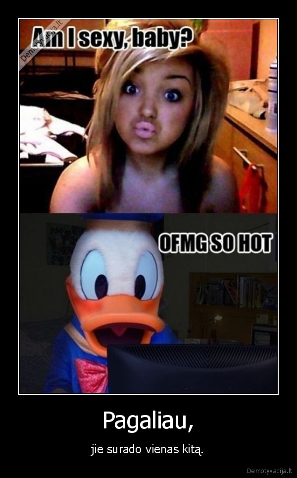 duck, face