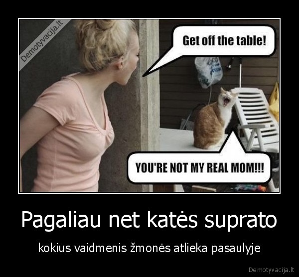 katinas,zmones,funny