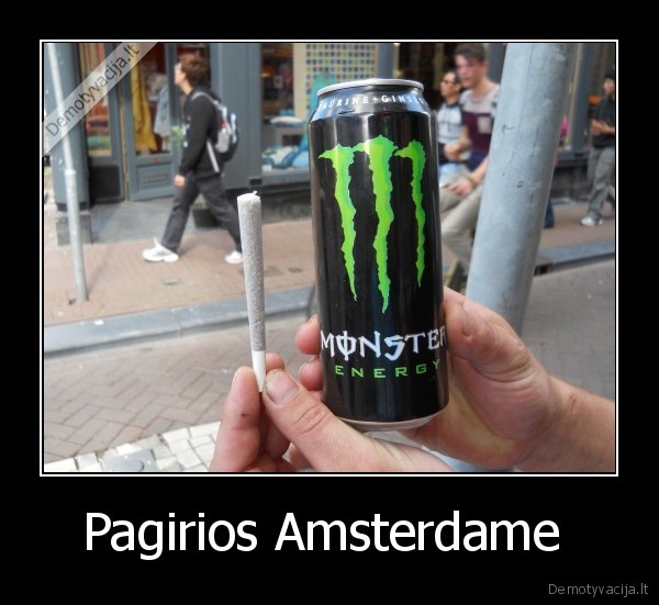 amsterdamas, kasekas, monster