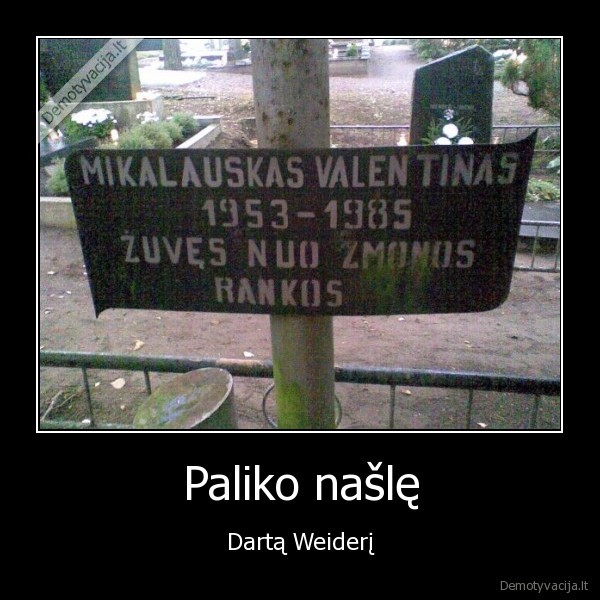 Paliko našlę