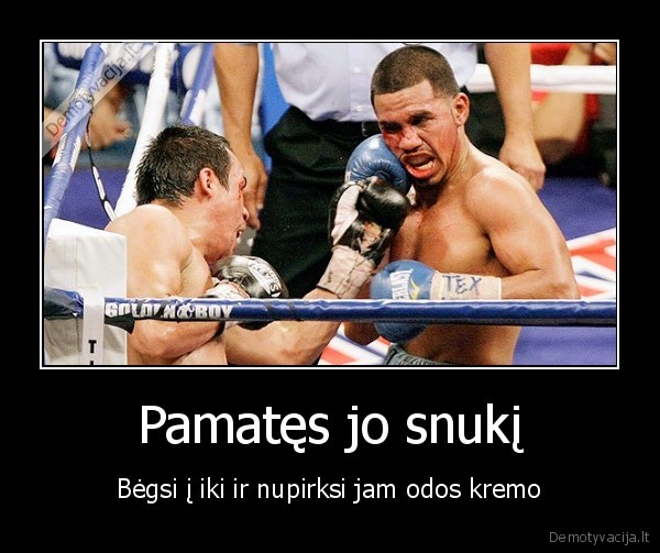 Pamatęs jo snukį