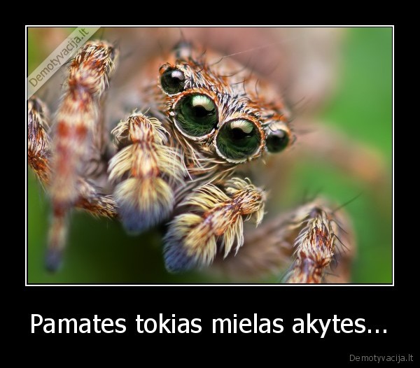 Pamates tokias mielas akytes...