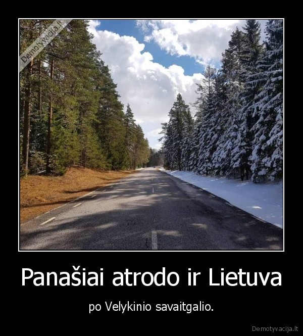 lietuva,medziai,sniegas,velykos