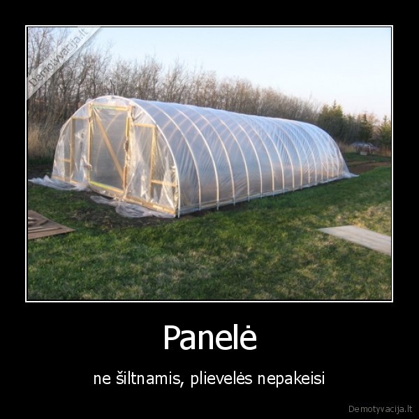 Panelė