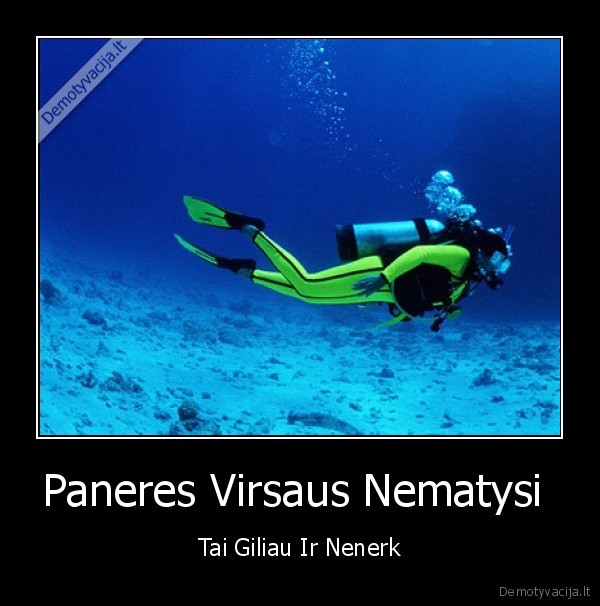 Paneres Virsaus Nematysi 