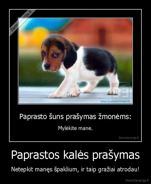 Paprastos kalės prašymas