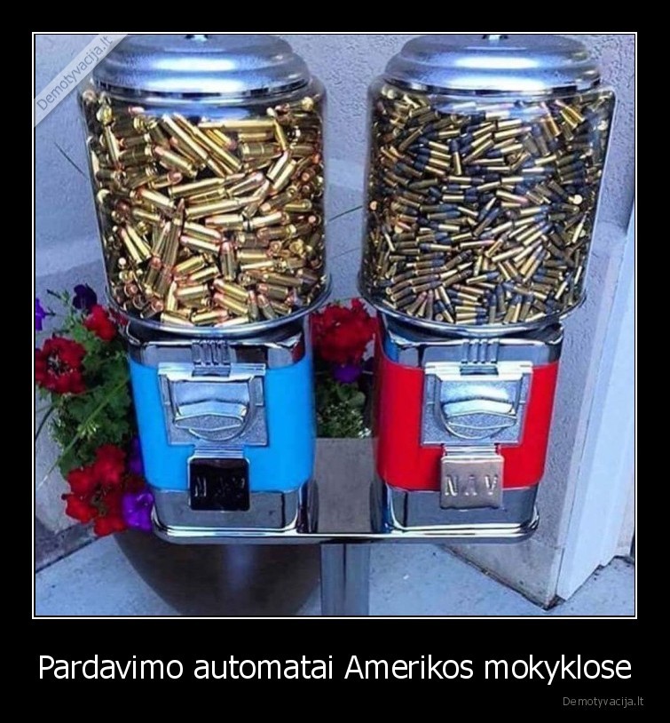 mokykla,jav,amerika,ginklai,pardavimo, automatai