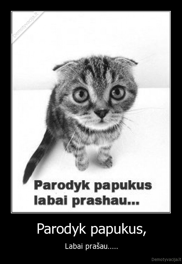 Parodyk papukus,