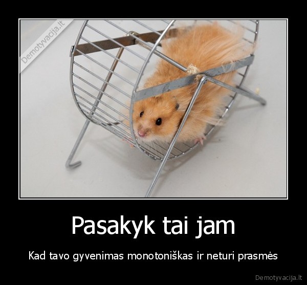 Pasakyk tai jam