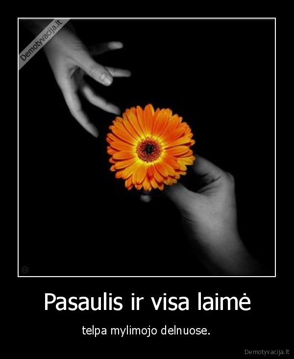 Pasaulis ir visa laimė