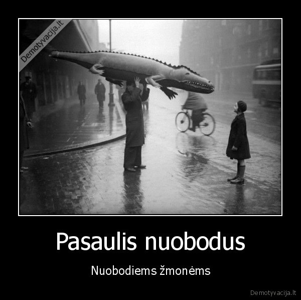 nuobodulys