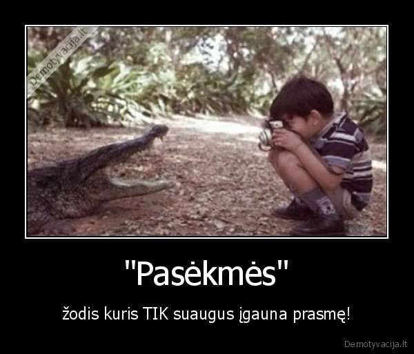 &quot;Pasėkmės&quot;