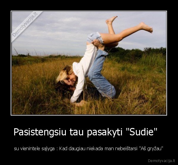 Pasistengsiu tau pasakyti &quot;Sudie&quot;  