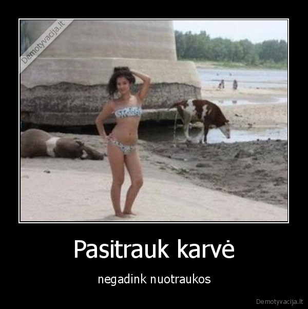 Pasitrauk karvė