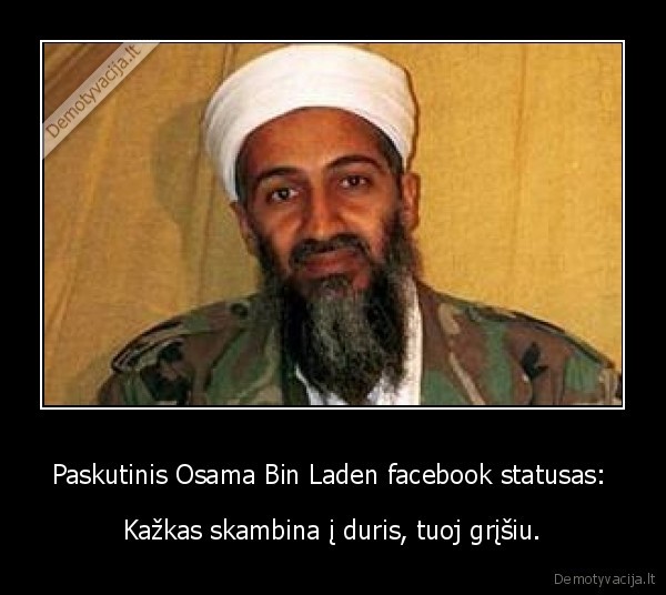 osama, bin, laden, juodas, humoras