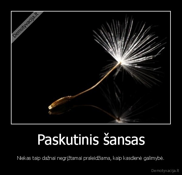 Paskutinis šansas