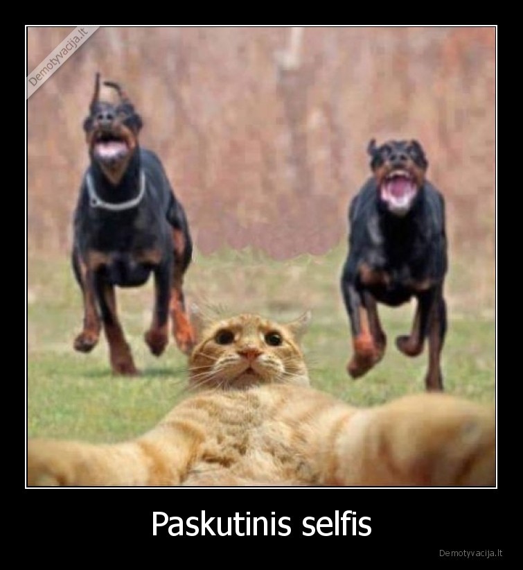 Paskutinis selfis