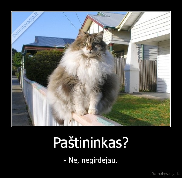 Paštininkas?