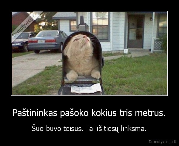 Paštininkas pašoko kokius tris metrus.