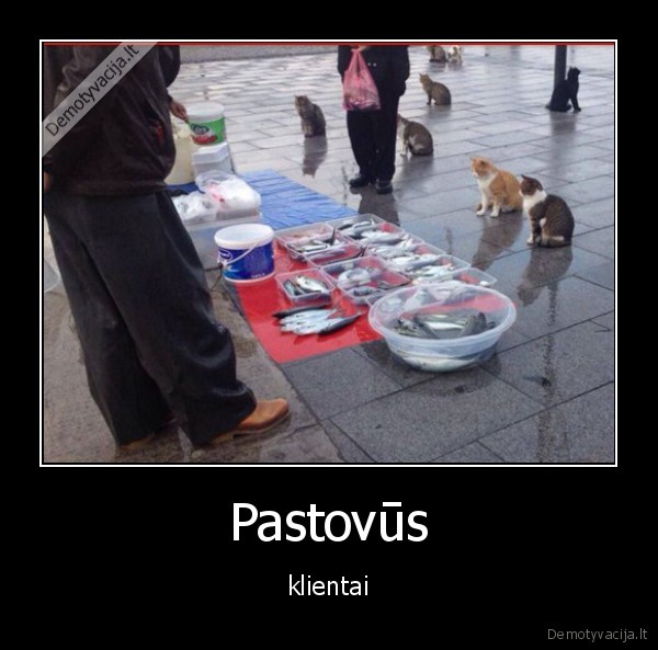 Pastovūs