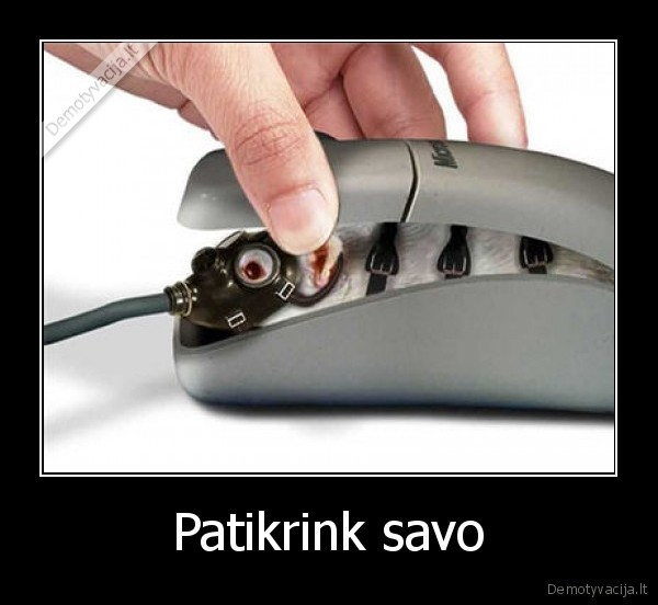 Patikrink savo