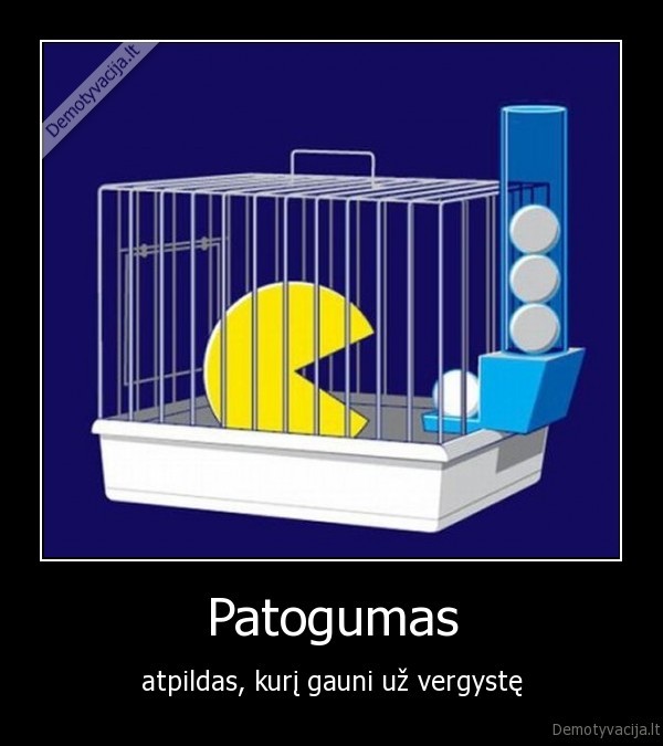 Patogumas