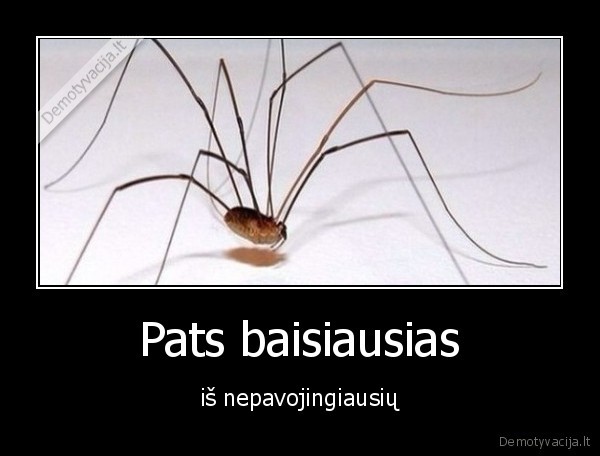 Pats baisiausias