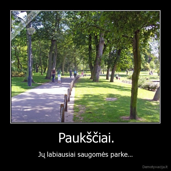 Paukščiai.