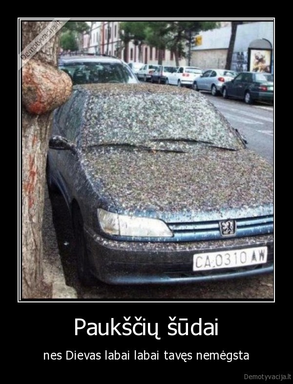 Paukščių šūdai