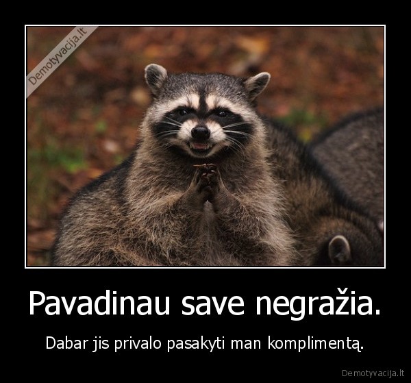 Pavadinau save negražia.