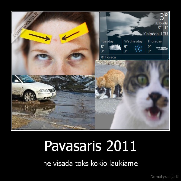 Pavasaris 2011