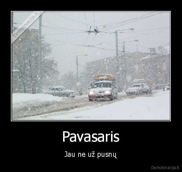 Pavasaris