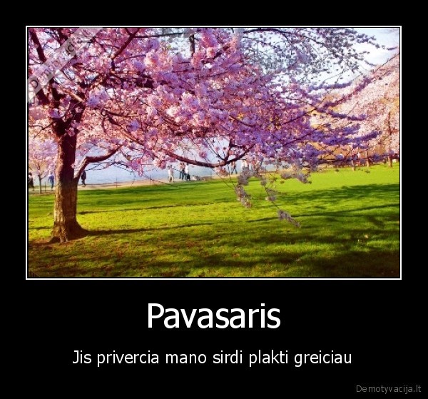 Pavasaris