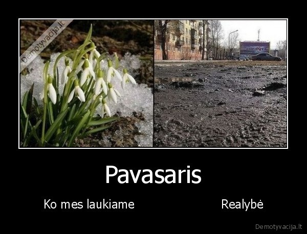 pavasaris