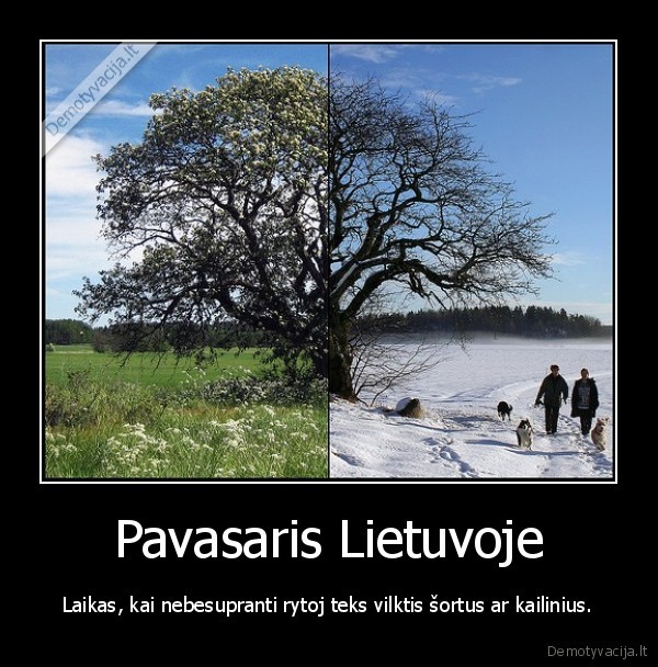 pavasaris,idomus, laikas